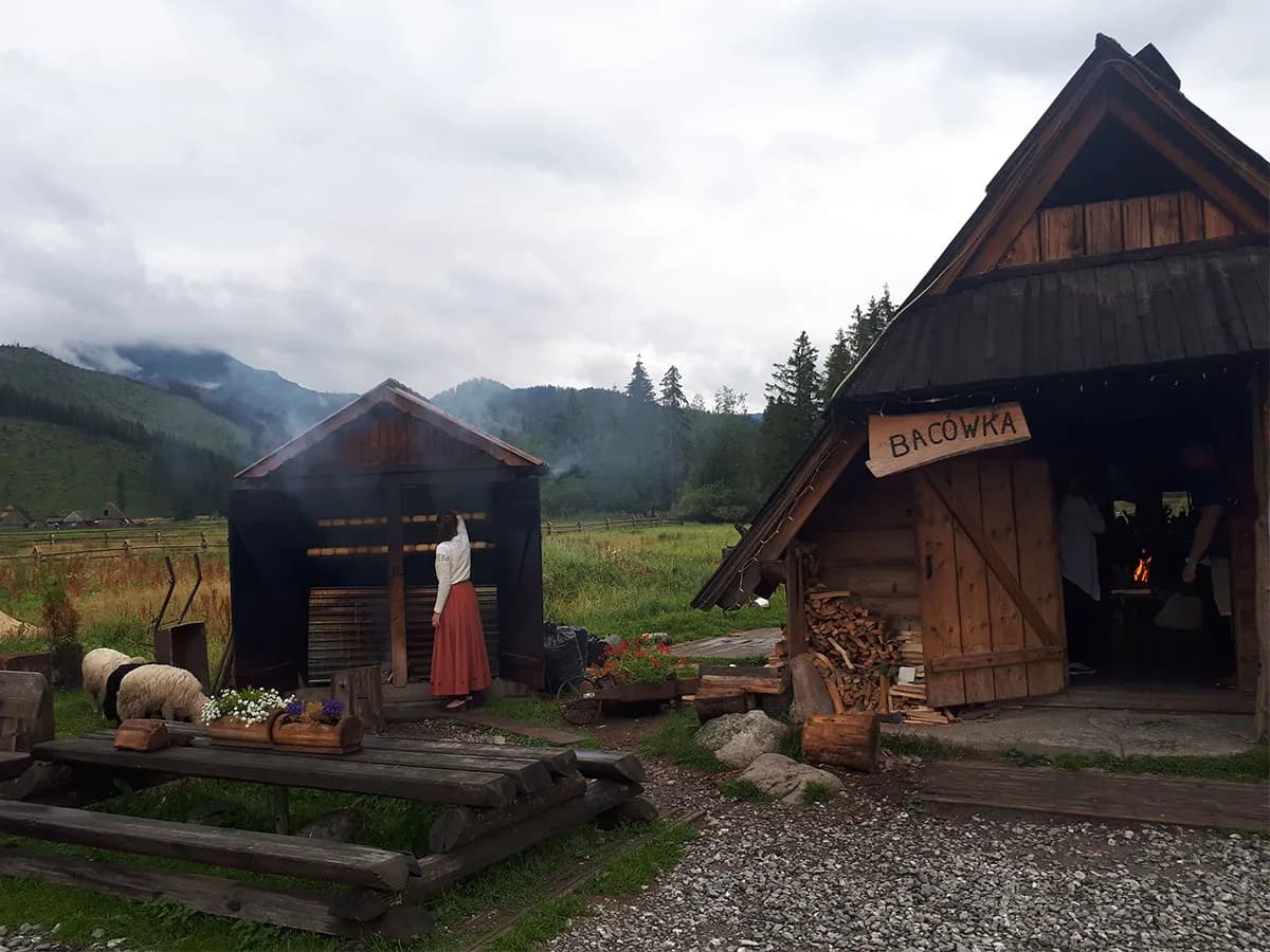 Bacówka Chochołów: Przeżyj autentyczną kulturę góralską i oscypek