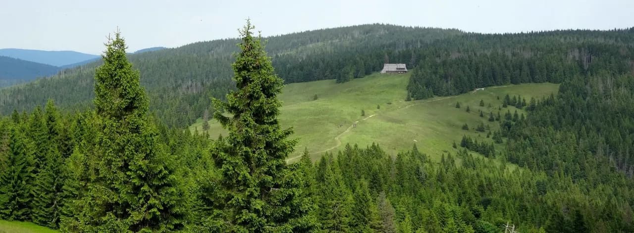 Najlepsze szlaki na Turbacz: znajdź najkrótszą trasę dla siebie