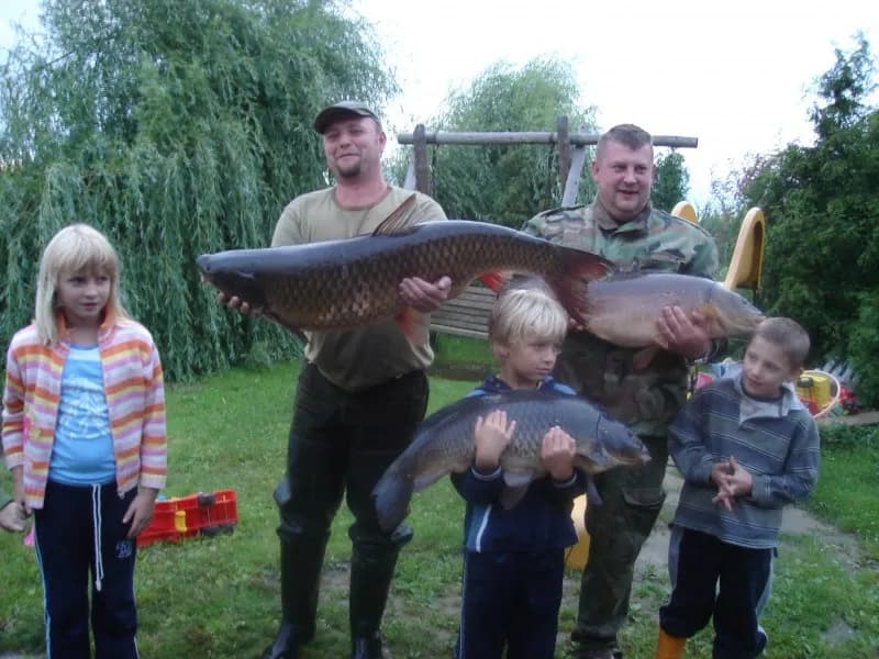 Gdzie na ryby z noclegiem w Wielkopolsce - najlepsze miejsca na wypoczynek