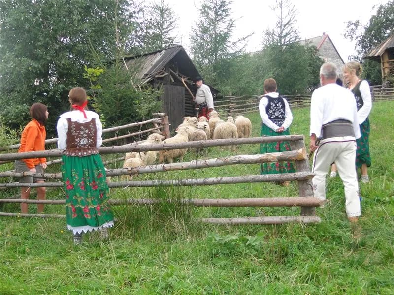 Bacówka Marcówka - wyjątkowe doświadczenie agroturystyczne w górach