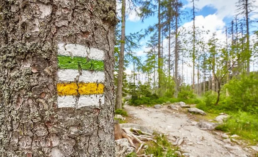 Co oznacza czarny szlak? Odkryj jego znaczenie i trudności w górach