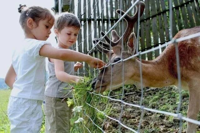 Bacówka Iwkowa - idealne miejsce na relaks i niezapomniane chwile