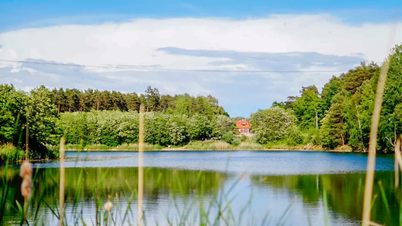 Zielona Góra co zobaczyć: najciekawsze atrakcje, które musisz poznać