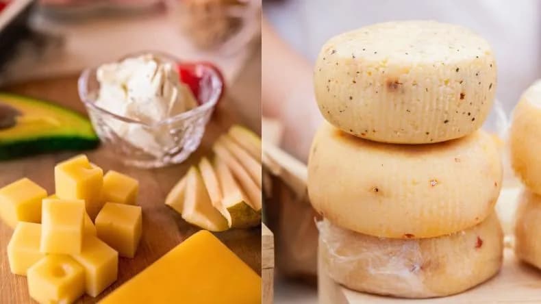 Tradycyjne sery z bacówki: smak, produkcja i gdzie kupić