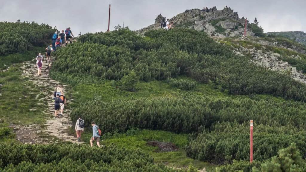 Najładniejszy szlak na Babią Górę - odkryj niepowtarzalne widoki