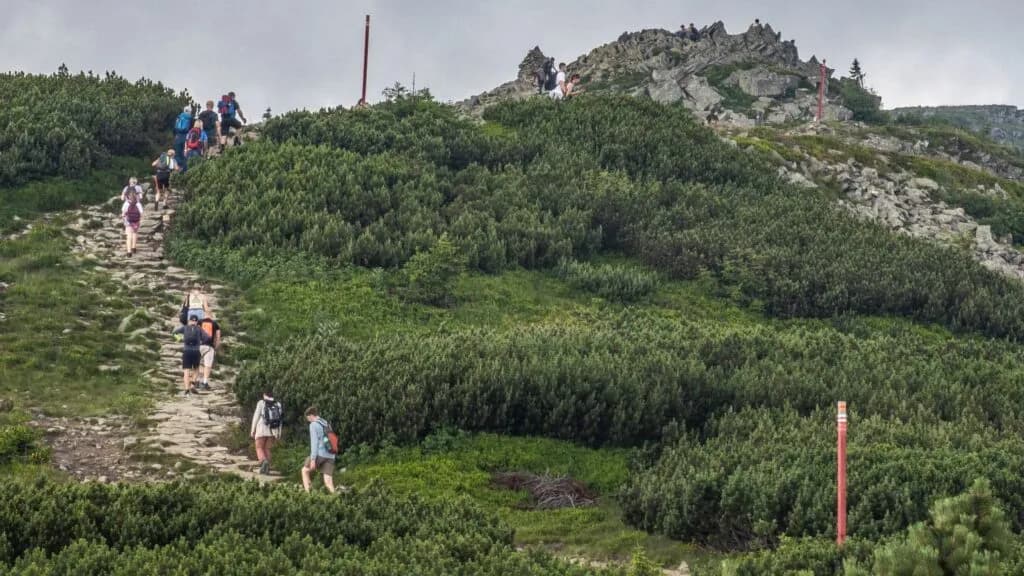 Najładniejszy szlak na Babią Górę - odkryj niepowtarzalne widoki