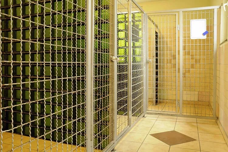 Jak założyć hotel dla psów - uniknij najczęstszych błędów i kosztów