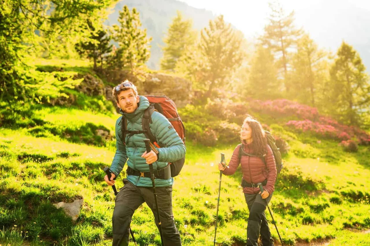 Karpaty – jaki to typ gór i co je wyróżnia w Europie?