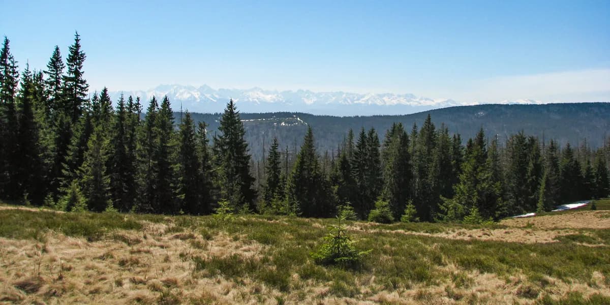 Czy szlaki górskie są otwarte? Sprawdź aktualny status i warunki