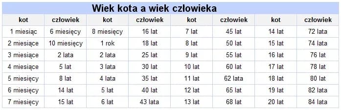 Jak liczyć wiek dziecka w hotelu, aby uniknąć nieprzyjemnych niespodzianek