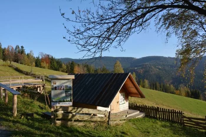 Bacówka Wisła: Odkryj tradycję oscypków i wyjątkowe noclegi