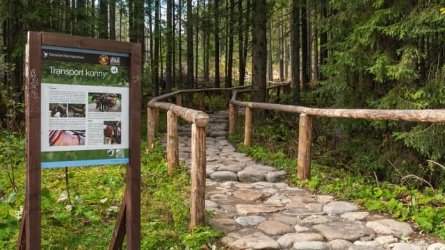 Jaki szlak wybrać w Tatrach – najlepsze trasy dla każdego turysty